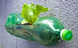 botella reciclada